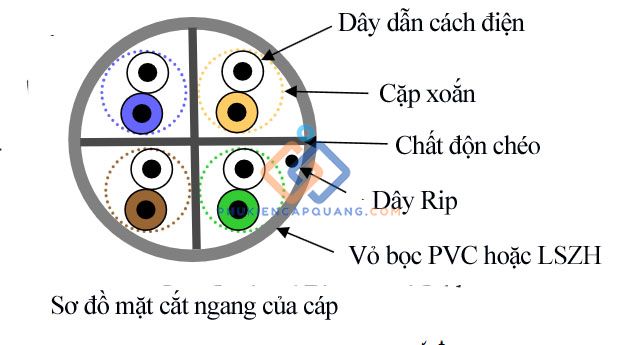 bao-gia-day-cap-mang-cat6-ls