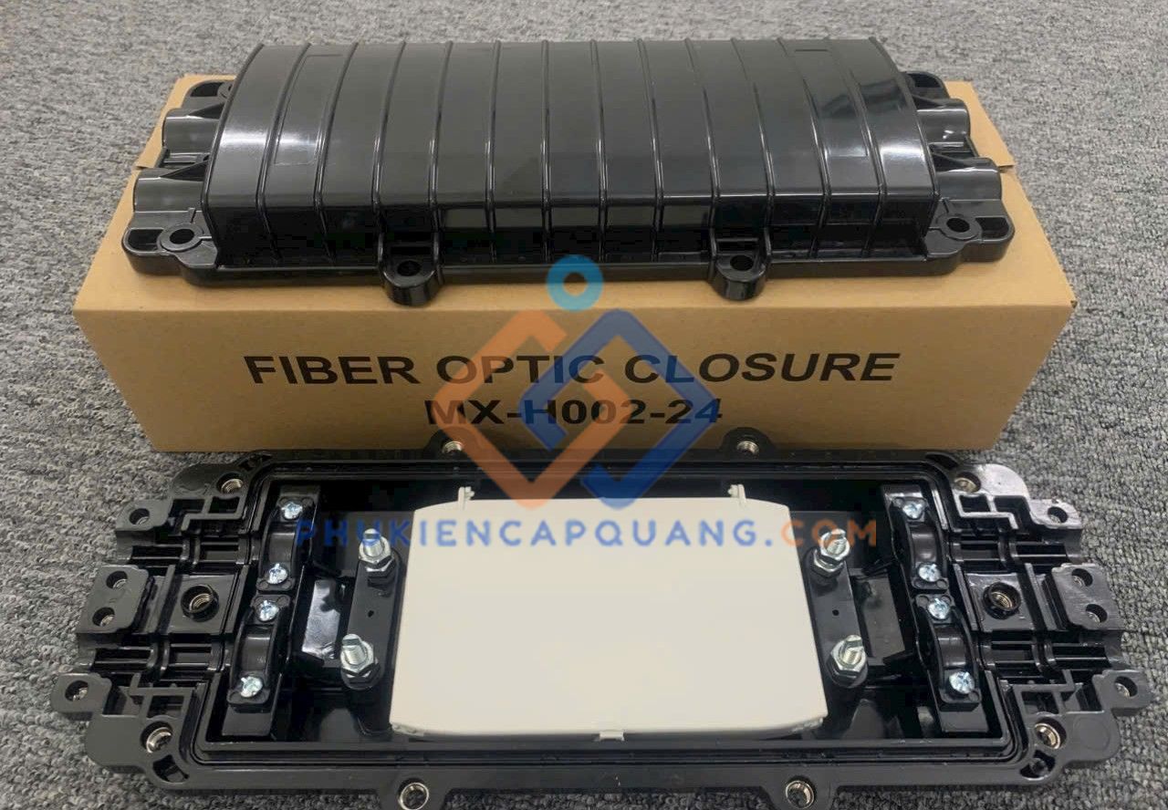 mang-xong-quang-24fo-2-vao-2-ra-ngam