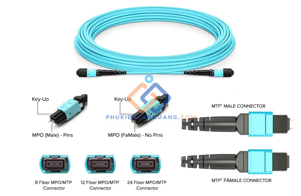 Các đặc điểm nổi bật trên dây nhảy quang MPO/MPT