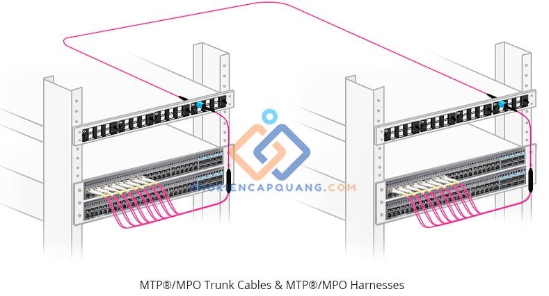 Dây nhảy quang MTP/MPO là gì? Tìm hiểu về MPT/MPO