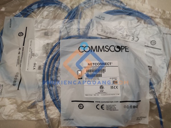 Dây nhảy đúc CAT6 dài 3m