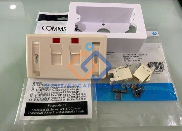 Mặt nạ RJ45 2 cổng Commscope 272368-2