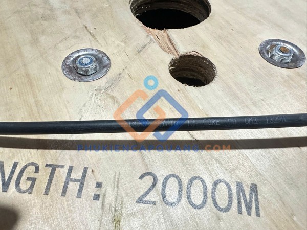 Cáp quang 12Fo OM3 Zincom ZC-GYXTW-12C-MM-OM3