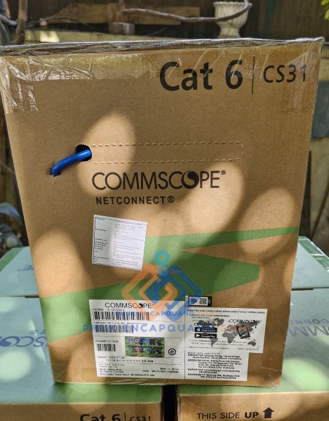 Cáp mạng CAT6 1427254-6 