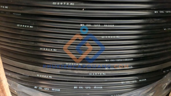 Cáp quang 12Fo Có kim loại CKL 