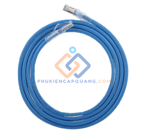 day-nhay-mang-cat6-npc06uzdb-bl030m-bl-chinh-hang