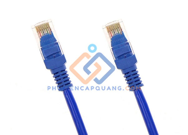 day-nhay-mang-cat6-npc06uvdb-bl020m