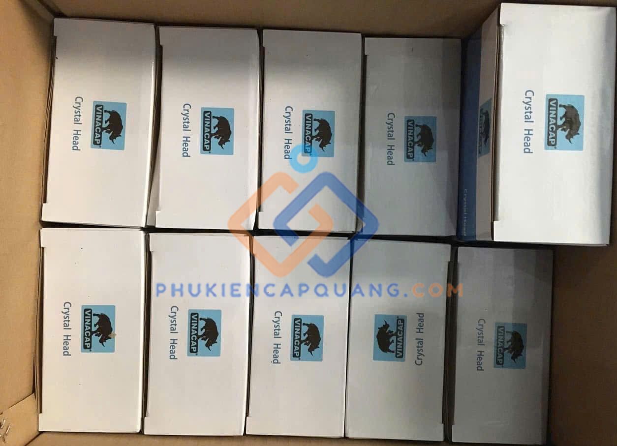 hat-mang-vinacap-cat6-utp-chinh-hang