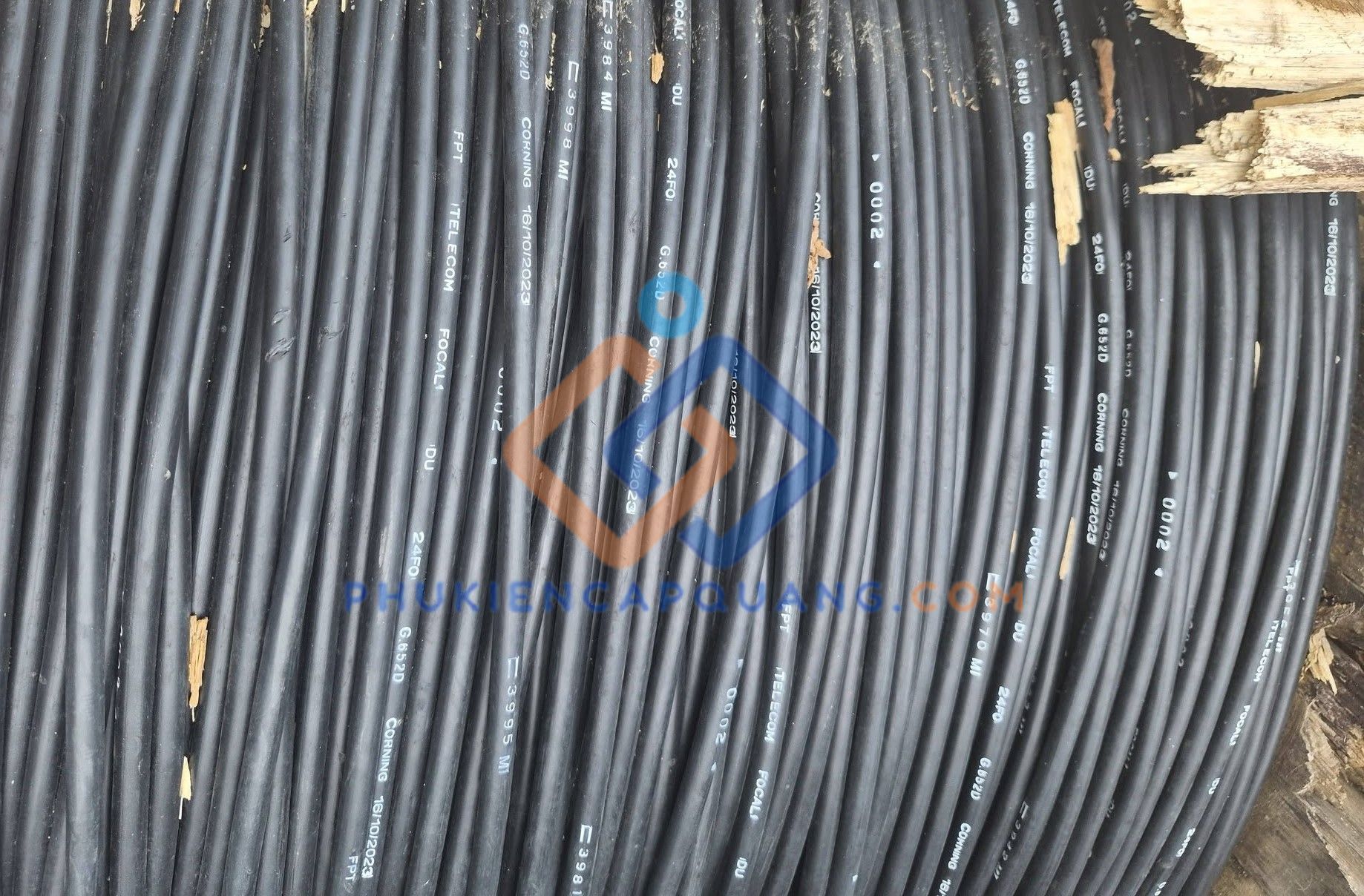 cap-quang-24fo-focal-cong-kim-loai-chon-truc-tiep