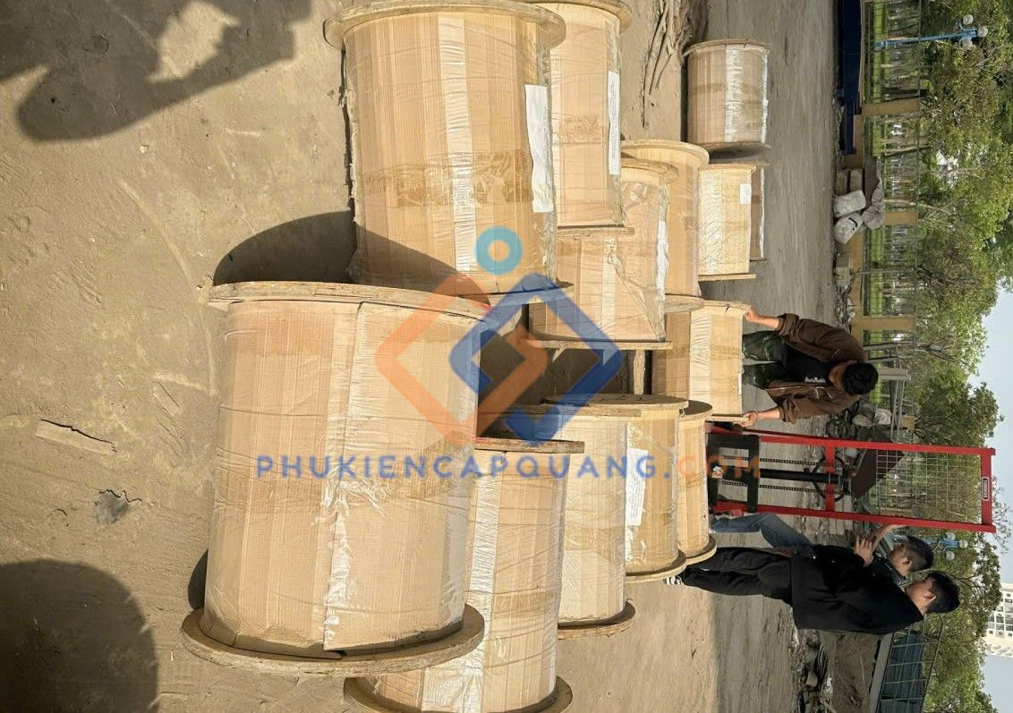 cap-quang-treo-zincom-12fo-zc-gyxtc8y-12c-sm-g652d